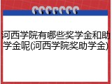 河西学院有哪些奖学金和助学金呢(河西学院奖助学金)
