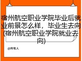 宿州航空职业学院毕业后就业前景怎么样，毕业生去向(宿州航空职业学院就业去向)