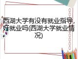 西湖大学有没有就业指导，好就业吗(西湖大学就业情况)