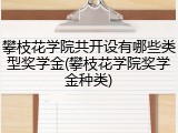 攀枝花学院共开设有哪些类型奖学金(攀枝花学院奖学金种类)