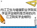 内江卫生与健康职业学院奖学金评定细则是怎样的(内江卫院奖学金细则)