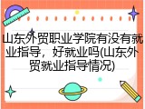 山东外贸职业学院有没有就业指导，好就业吗(山东外贸就业指导情况)