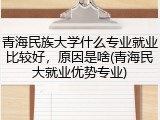 青海民族大学什么专业就业比较好，原因是啥(青海民大就业优势专业)