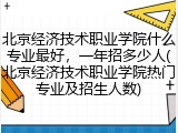 北京经济技术职业学院什么专业最好，一年招多少人(北京经济技术职业学院热门专业及招生人数)