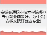 安徽交通职业技术学院哪些专业就业前景好，为什么(安徽交院好就业专业)