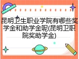 昆明卫生职业学院有哪些奖学金和助学金呢(昆明卫职院奖助学金)
