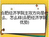 合肥经济学院主攻方向是什么，怎么样(合肥经济学院优势)