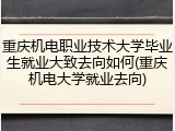 重庆机电职业技术大学毕业生就业大致去向如何(重庆机电大学就业去向)