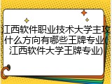 江西软件职业技术大学主攻什么方向有哪些王牌专业(江西软件大学王牌专业)