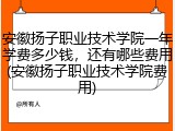 安徽扬子职业技术学院一年学费多少钱，还有哪些费用(安徽扬子职业技术学院费用)