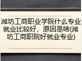 潍坊工商职业学院什么专业就业比较好，原因是啥(潍坊工商职院好就业专业)