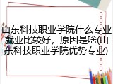 山东科技职业学院什么专业就业比较好，原因是啥(山东科技职业学院优势专业)