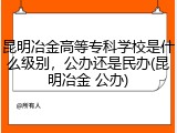 昆明冶金高等专科学校是什么级别，公办还是民办(昆明冶金 公办)