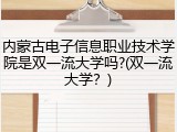 内蒙古电子信息职业技术学院是双一流大学吗?(双一流大学？)