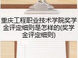 重庆工程职业技术学院奖学金评定细则是怎样的(奖学金评定细则)