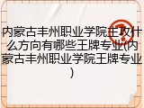 内蒙古丰州职业学院主攻什么方向有哪些王牌专业(内蒙古丰州职业学院王牌专业)