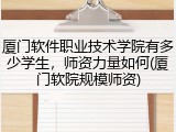 厦门软件职业技术学院有多少学生，师资力量如何(厦门软院规模师资)