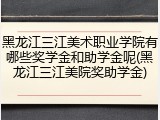 黑龙江三江美术职业学院有哪些奖学金和助学金呢(黑龙江三江美院奖助学金)