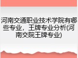 河南交通职业技术学院有哪些专业，王牌专业分析(河南交院王牌专业)