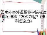 云南外事外语职业学院就读期间挂科了怎么办呢？(挂科怎么办)