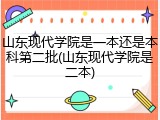 山东现代学院是一本还是本科第二批(山东现代学院是二本)