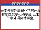 云南外事外语职业学院开设有哪些奖学和助学金(云南外事外语奖助学金)