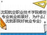 沈阳航空职业技术学院哪些专业就业前景好，为什么(沈航职院好就业专业)
