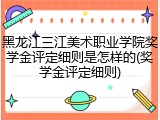 黑龙江三江美术职业学院奖学金评定细则是怎样的(奖学金评定细则)