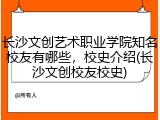 长沙文创艺术职业学院知名校友有哪些，校史介绍(长沙文创校友校史)