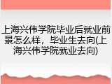 上海兴伟学院毕业后就业前景怎么样，毕业生去向(上海兴伟学院就业去向)