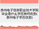 贵州电子信息职业技术学院毕业是什么学历有何优势(贵州电子学历优势)
