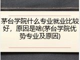 茅台学院什么专业就业比较好，原因是啥(茅台学院优势专业及原因)