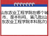 山东农业工程学院在哪个城市，是本科吗，第几批(山东农业工程学院本科批次)