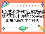 山东艺术设计职业学院就读期间可以申请哪些奖学金(山东艺院奖学金种类)