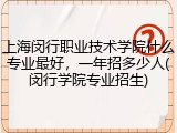 上海闵行职业技术学院什么专业最好，一年招多少人(闵行学院专业招生)