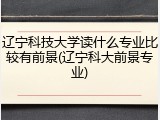 辽宁科技大学读什么专业比较有前景(辽宁科大前景专业)