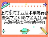 上海东海职业技术学院有哪些奖学金和助学金呢(上海东海学院奖学金助学金)