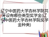 辽宁中医药大学杏林学院共开设有哪些类型奖学金(辽宁中医药大学杏林学院奖学金种类)