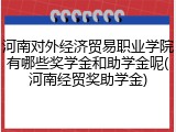 河南对外经济贸易职业学院有哪些奖学金和助学金呢(河南经贸奖助学金)