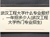 武汉工程大学什么专业最好，一年招多少人(武汉工程大学热门专业招生)