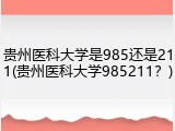 贵州医科大学是985还是211(贵州医科大学985211？)
