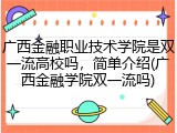 广西金融职业技术学院是双一流高校吗，简单介绍(广西金融学院双一流吗)