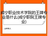 咸宁职业技术学院的王牌专业是什么(咸宁职院王牌专业)