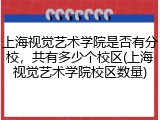 上海视觉艺术学院是否有分校，共有多少个校区(上海视觉艺术学院校区数量)