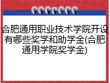 合肥通用职业技术学院开设有哪些奖学和助学金(合肥通用学院奖学金)