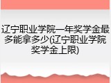 辽宁职业学院一年奖学金最多能拿多少(辽宁职业学院奖学金上限)