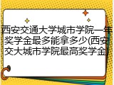 西安交通大学城市学院一年奖学金最多能拿多少(西安交大城市学院最高奖学金)