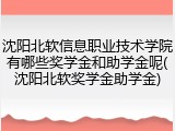 沈阳北软信息职业技术学院有哪些奖学金和助学金呢(沈阳北软奖学金助学金)