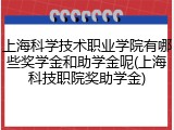 上海科学技术职业学院有哪些奖学金和助学金呢(上海科技职院奖助学金)