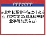 湖北科技职业学院读什么专业比较有前景(湖北科技职业学院前景专业)
